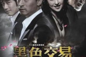 国产h电影,激情燃烧的岁月，探寻民族精神新篇章