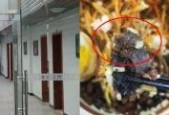 国产成人啪精品视频网站午夜,揭秘国产成人视频网站的秘密世界
